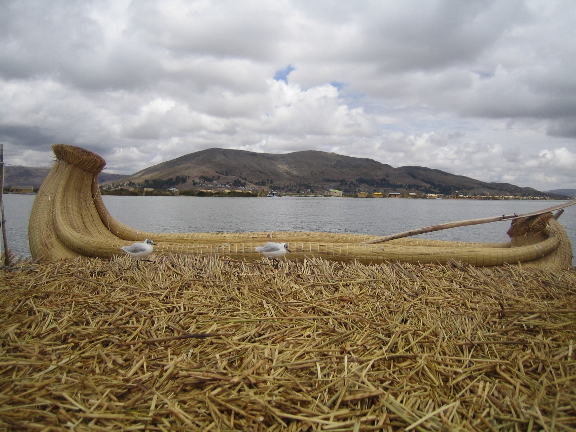 Lake Titicaca Stick Traveler